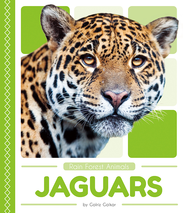 This book introduces readers to the largest cat of the Americas: the jaguar. Readers learn about the life cycle, behavior, physical characteristics, and habitat of jaguars. Vivid photographs and easy-to-read text aid comprehension for early readers. Features include a table of contents, an infographic, fun facts, Making Connections questions, a glossary, and an index. QR Codes in the book give readers access to book-specific resources to further their learning. Preview this book.