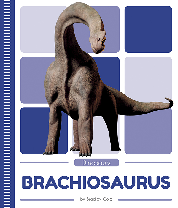 This book introduces readers to the physical characteristics, behavior, habitat, and fossil record of Brachiosaurus. Vivid photographs and easy-to-read text aid comprehension for early readers. Features include a table of contents, an infographic, fun facts, Making Connections questions, a glossary, and an index. QR Codes in the book give readers access to book-specific resources to further their learning. Preview this book.