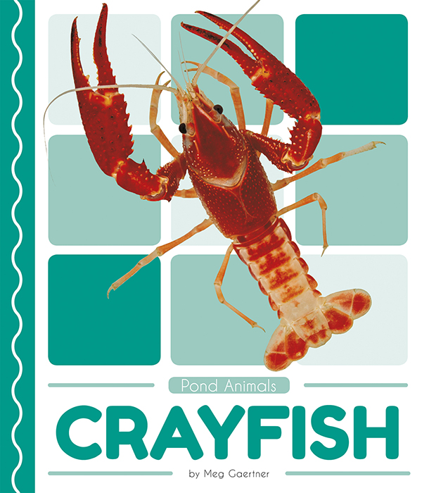 This book introduces readers to the life cycle, behavior, physical characteristics, and habitat of crayfish. Vivid photographs and easy-to-read text aid comprehension for early readers. Features include a table of contents, an infographic, fun facts, Making Connections questions, a glossary, and an index. QR Codes in the book give readers access to book-specific resources to further their learning. Preview this book.