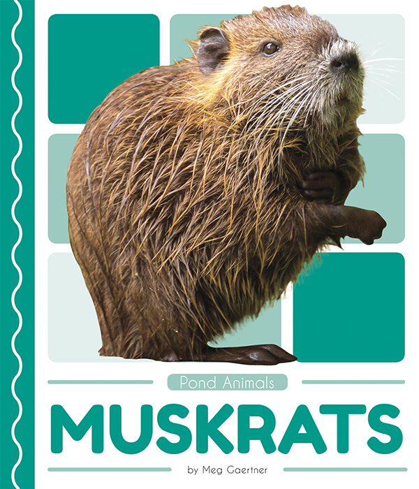 This book introduces readers to the life cycle, behavior, physical characteristics, and habitat of muskrats. Vivid photographs and easy-to-read text aid comprehension for early readers. Features include a table of contents, an infographic, fun facts, Making Connections questions, a glossary, and an index. QR Codes in the book give readers access to book-specific resources to further their learning.