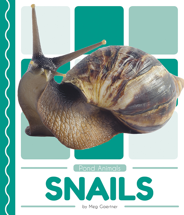 This book introduces readers to the life cycle, behavior, physical characteristics, and habitat of snails. Vivid photographs and easy-to-read text aid comprehension for early readers. Features include a table of contents, an infographic, fun facts, Making Connections questions, a glossary, and an index. QR Codes in the book give readers access to book-specific resources to further their learning. Preview this book.