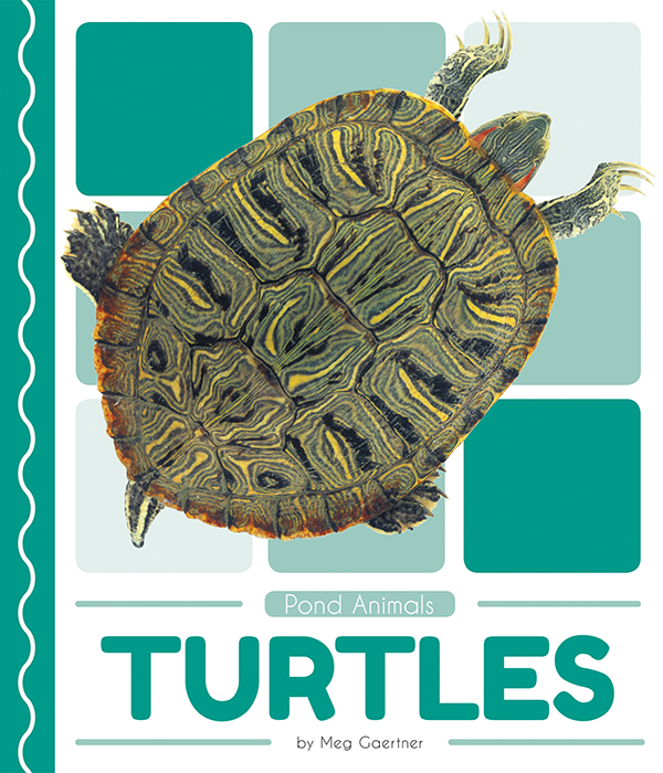 This book introduces readers to the life cycle, behavior, physical characteristics, and habitat of turtles. Vivid photographs and easy-to-read text aid comprehension for early readers. Features include a table of contents, an infographic, fun facts, Making Connections questions, a glossary, and an index. QR Codes in the book give readers access to book-specific resources to further their learning. Preview this book.