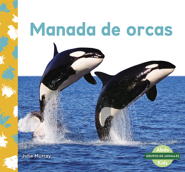 Manada De Orcas (Orca Whale Pod)