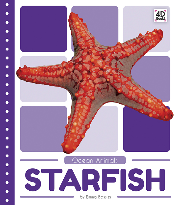 Introduces readers to the life cycle, behavior, physical characteristics, and habitat of starfish. Vivid photographs and easy-to-read text aid comprehension for early readers. Features include a table of contents, an infographic, fun facts, Making Connections questions, a glossary, and an index. QR Codes in the book give readers access to book-specific resources to further their learning. Preview this book.