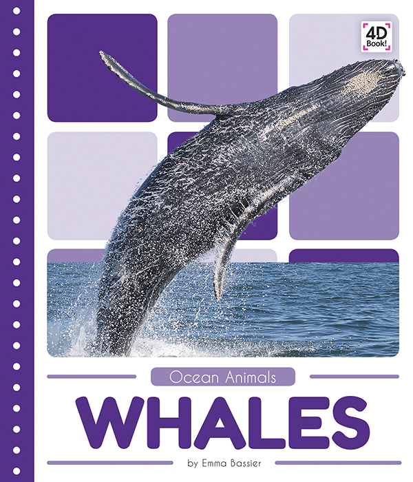 Introduces readers to the life cycle, behavior, physical characteristics, and habitat of whales. Vivid photographs and easy-to-read text aid comprehension for early readers. Features include a table of contents, an infographic, fun facts, Making Connections questions, a glossary, and an index. QR Codes in the book give readers access to book-specific resources to further their learning. Preview this book.