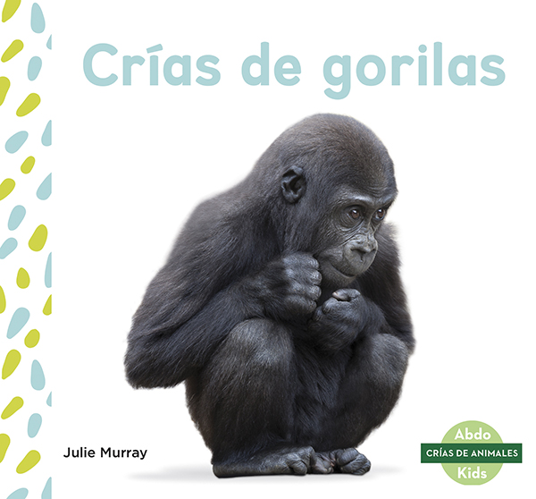 This title explores the life of a gorilla from birth to adulthood. The title will show readers what baby gorillas like to eat, how long they rely on their mothers, and at what ages they start learning new things. Aligned to Common Core Standards and correlated to state standards. Abdo Kids Junior is an imprint of Abdo Kids, a division of ABDO. Translated by native Spanish speakers and immersion school educators. Preview this book.