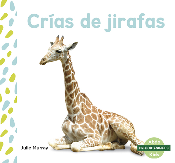 This title explores the life of a giraffe from birth to adulthood. The title will show readers what baby giraffes like to eat, how long they rely on their mothers, and at what ages they start learning new things. Aligned to Common Core Standards and correlated to state standards. Abdo Kids Junior is an imprint of Abdo Kids, a division of ABDO. Translated by native Spanish speakers and immersion school educators. Preview this book.