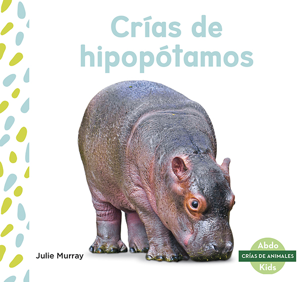 This title explores the life of a hippopotamus from birth to adulthood. The title will show readers what baby hippos like to eat, how long they rely on their mothers, and at what ages they start learning new things. Aligned to Common Core Standards and correlated to state standards. Abdo Kids Junior is an imprint of Abdo Kids, a division of ABDO. Translated by native Spanish speakers and immersion school educators. Preview this book.