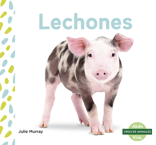 This title explores the life of a pig from birth to adulthood. The title will show readers what piglets like to eat, how long they rely on their mothers, and at what ages they start learning new things. Aligned to Common Core Standards and correlated to state standards. Abdo Kids Junior is an imprint of Abdo Kids, a division of ABDO. Translated by native Spanish speakers and immersion school educators. Preview this book.