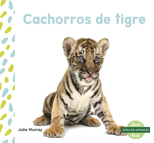 This title explores the life of a tiger from birth to adulthood. The title will show readers what baby tigers like to eat, how long they rely on their mothers, and at what ages they start learning new things. Aligned to Common Core Standards and correlated to state standards. Abdo Kids Junior is an imprint of Abdo Kids, a division of ABDO. Translated by native Spanish speakers and immersion school educators. Preview this book.