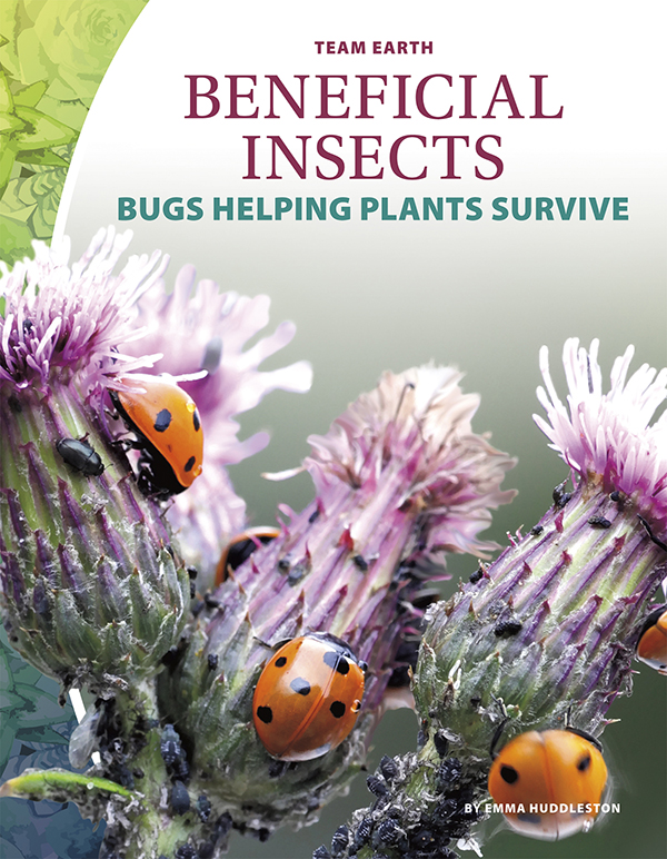 Insects play a vital role in many natural processes around the world. They help pollinate flowers, break down dead things, and provide food for many animals and people. Beneficial Insects: Bugs Helping Plants Survive looks at how insects make the world a better place, as well as the threats they face and how people can protect them. Easy-to-read text, vivid images, and helpful back matter give readers a clear look at this subject. Features include a table of contents, infographics, a glossary, additional resources, and an index. Aligned to Common Core Standards and correlated to state standards. Core Library is an imprint of Abdo Publishing, a division of ABDO. Preview this book.