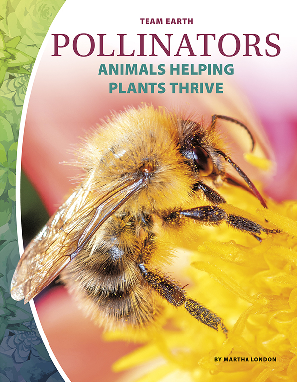 Many animals move pollen from one flower to another. This helps flowers make seeds to grow new plants. Pollinators: Animals Helping Plants Thrive looks at how pollinators make the world a better place, as well as the threats they face and how people can protect them. Easy-to-read text, vivid images, and helpful back matter give readers a clear look at this subject. Features include a table of contents, infographics, a glossary, additional resources, and an index. Aligned to Common Core Standards and correlated to state standards. Core Library is an imprint of Abdo Publishing, a division of ABDO. Preview this book.