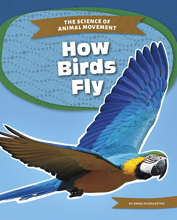 Birds flap their wings and rise into the air. Science explains how a bird can travel in the air. How Birds Fly explains how a bird’s body lets it fly high as well as the forces at work to keep it in the sky. Easy-to-read text, vivid images, and helpful back matter give readers a clear look at this subject. Features include a table of contents, infographics, a glossary, additional resources, and an index. Aligned to Common Core Standards and correlated to state standards. Preview this book.