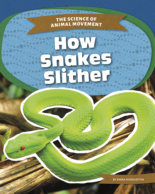 A snake slithers in an S shape along the forest floor. Science explains how snakes move without limbs. How Snakes Slither explains how a snake’s body lets it move smoothly across many surfaces as well as the forces at work that help them glide across the ground. Easy-to-read text, vivid images, and helpful back matter give readers a clear look at this subject. Features include a table of contents, infographics, a glossary, additional resources, and an index. Aligned to Common Core Standards and correlated to state standards. Preview this book.
