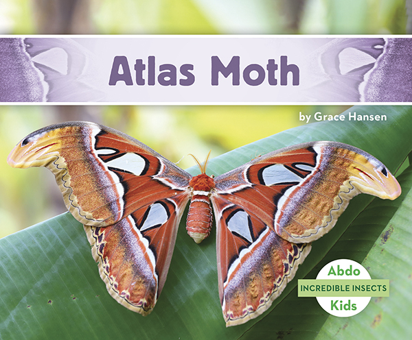 This title will introduce readers to Atlas moths. Readers will learn where these insects can be found, how they survive, and what makes them so incredible. Complete with great, up-close photographs. Aligned to Common Core standards & correlated to state standards. Preview this book.