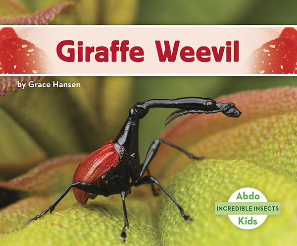 This title will introduce readers to giraffe weevils. Readers will learn where these insects can be found, how they survive, and how they got their name. Complete with great, up-close photographs. Aligned to Common Core standards & correlated to state standards. Preview this book.