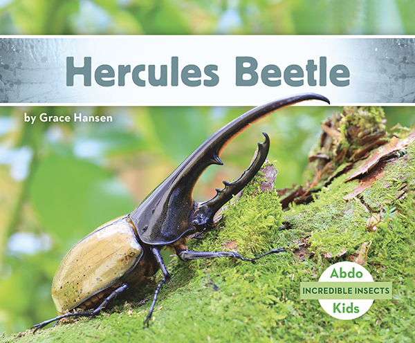 This title will introduce readers to Hercules beetles. Readers will learn where these big beetles can be found, how they survive, and how they got their mighty name. Complete with great, up-close photographs. Aligned to Common Core standards & correlated to state standards. Preview this book.
