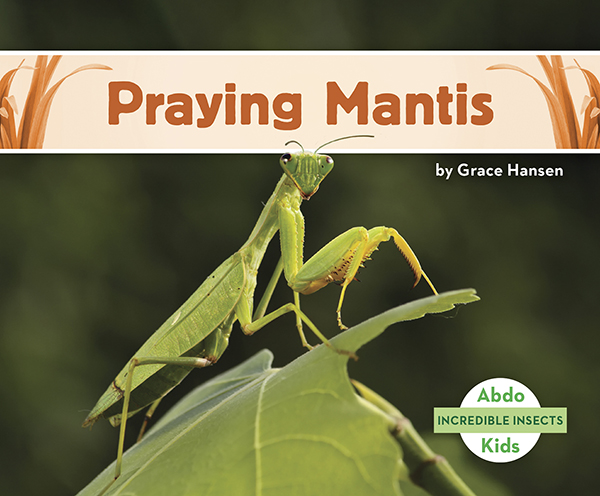 This title will introduce readers to praying mantises. Readers will learn where these insects can be found, how they survive, and why their peaceful name might be misleading. Complete with great, up-close photographs. Aligned to Common Core standards & correlated to state standards. Preview this book.