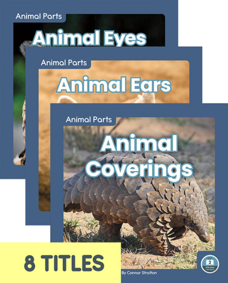 Animal Parts (Set of 8)