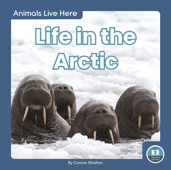This title introduces readers to the kinds of animals that live in the arctic. Simple text, straightforward photos, and a photo glossary make this title the perfect introduction to life in the arctic. Preview this book.