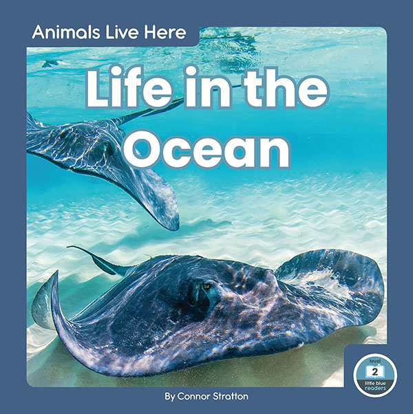 This title introduces readers to the kinds of animals that live in oceans. Simple text, straightforward photos, and a photo glossary make this title the perfect introduction to life in the ocean. Preview this book.