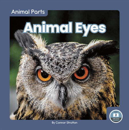 Animal Eyes