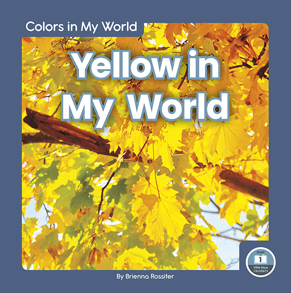 This title identifies places where young readers might find the color yellow. Simple text with closely matching pictures and a photo glossary makes this book perfect for beginning readers. Preview this book.