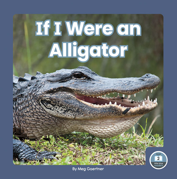 This book lets young readers experience life from the perspective of an alligator. Simple text, vibrant photos, and a photo glossary make this the perfect introduction to alligators for beginning readers. Preview this book.