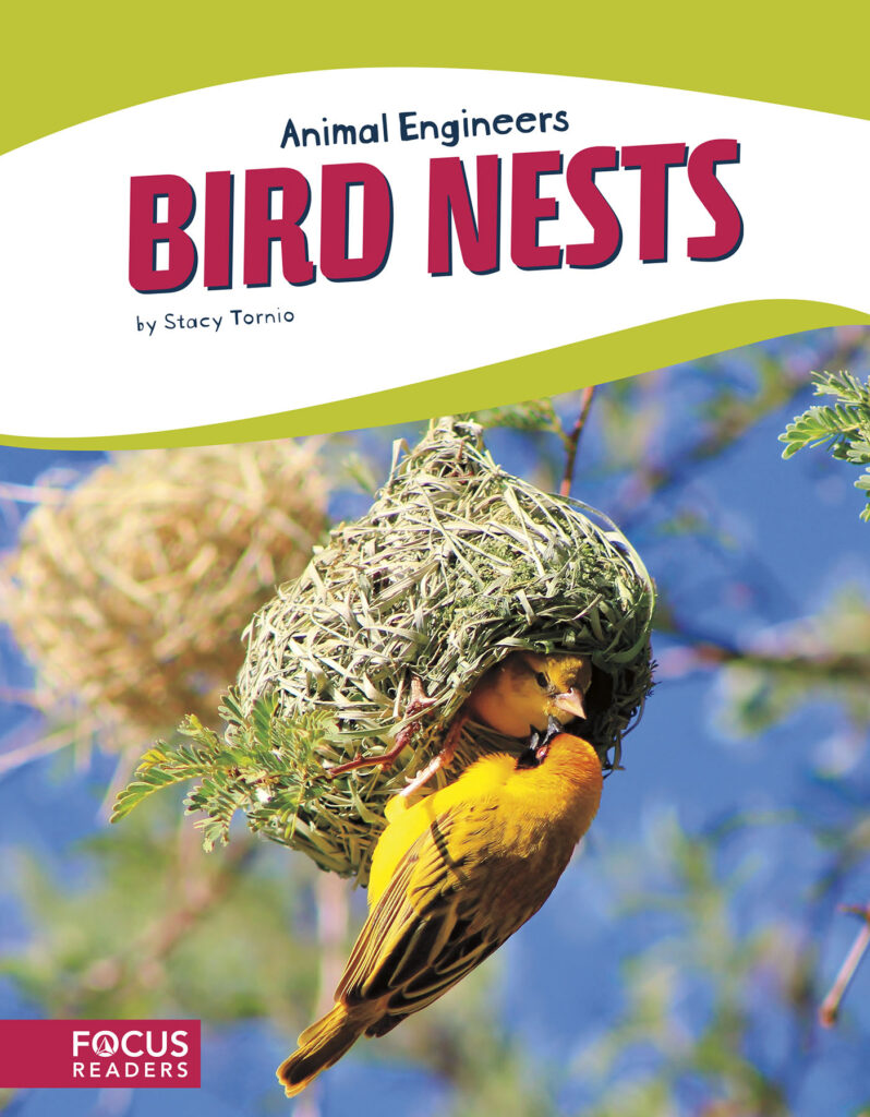 Explains the process and materials that birds use to build nests. This book’s colorful photos, clear text, and “A Closer Look” feature highlight the engineering that makes this structure such a marvel and helps birds survive in the wild. Preview this book.