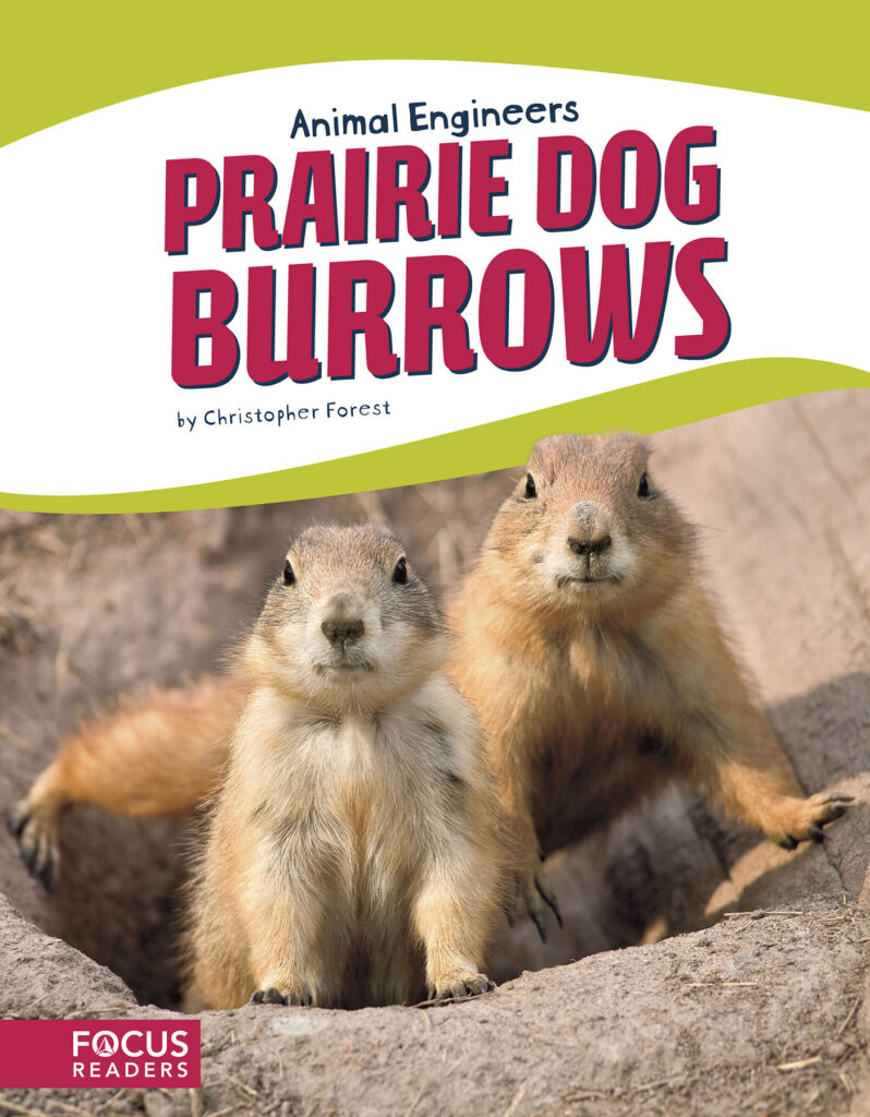 Explains the process and materials that prairie dogs use to build burrows. This book’s colorful photos, clear text, and “A Closer Look” feature highlight the engineering that makes this structure such a marvel and helps prairie dogs survive in the wild. Preview this book.