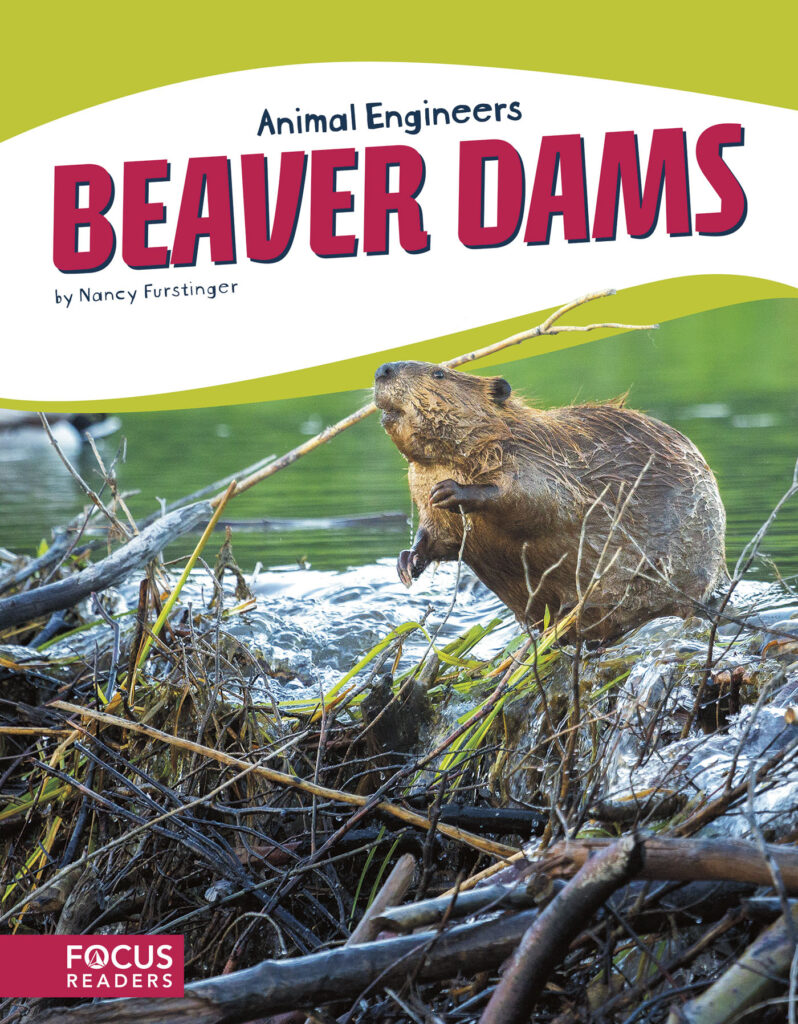 Explains the process and materials that beavers use to build dams. This book’s colorful photos, clear text, and “A Closer Look” feature highlight the engineering that makes this structure such a marvel and helps beavers survive in the wild. Preview this book.