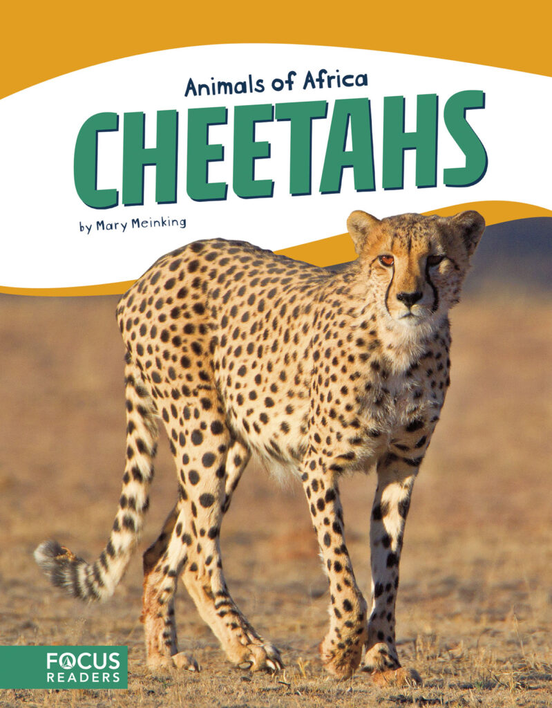 Introduces readers to the life, diet, habitat, behavior, and physical description of cheetahs. Colorful spreads, fun facts, diagrams, a range map, and a special reading feature make this an exciting read for animal lovers and report writers alike.