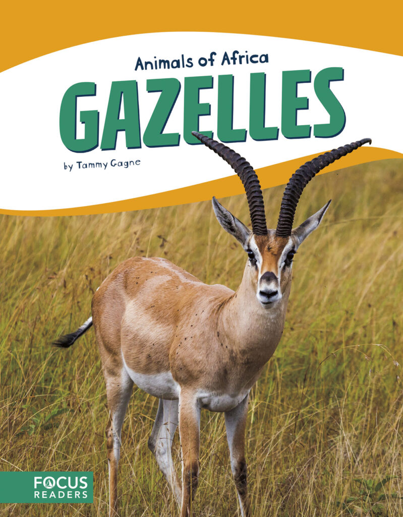 Introduces readers to the life, diet, habitat, behavior, and physical description of gazelles. Colorful spreads, fun facts, diagrams, a range map, and a special reading feature make this an exciting read for animal lovers and report writers alike. Preview this book.