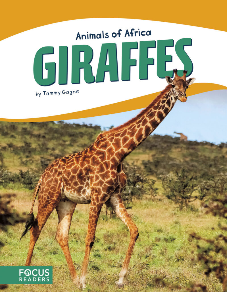 Introduces readers to the life, diet, habitat, behavior, and physical description of giraffes. Colorful spreads, fun facts, diagrams, a range map, and a special reading feature make this an exciting read for animal lovers and report writers alike. Preview this book.