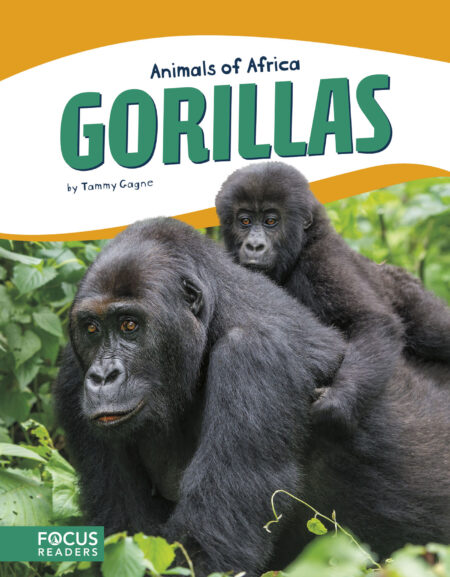 Gorillas