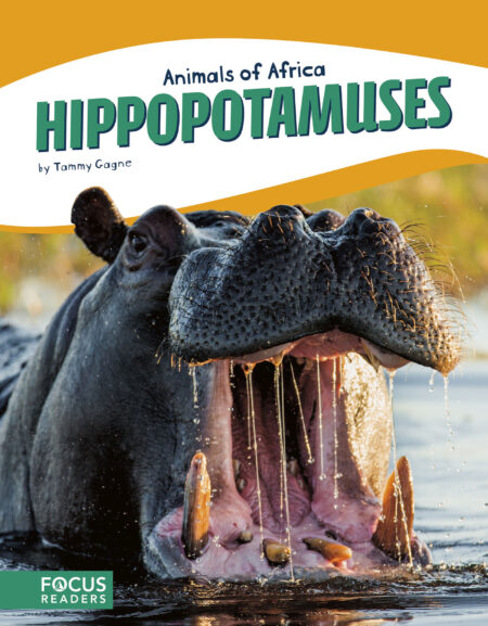 Hippopotamuses