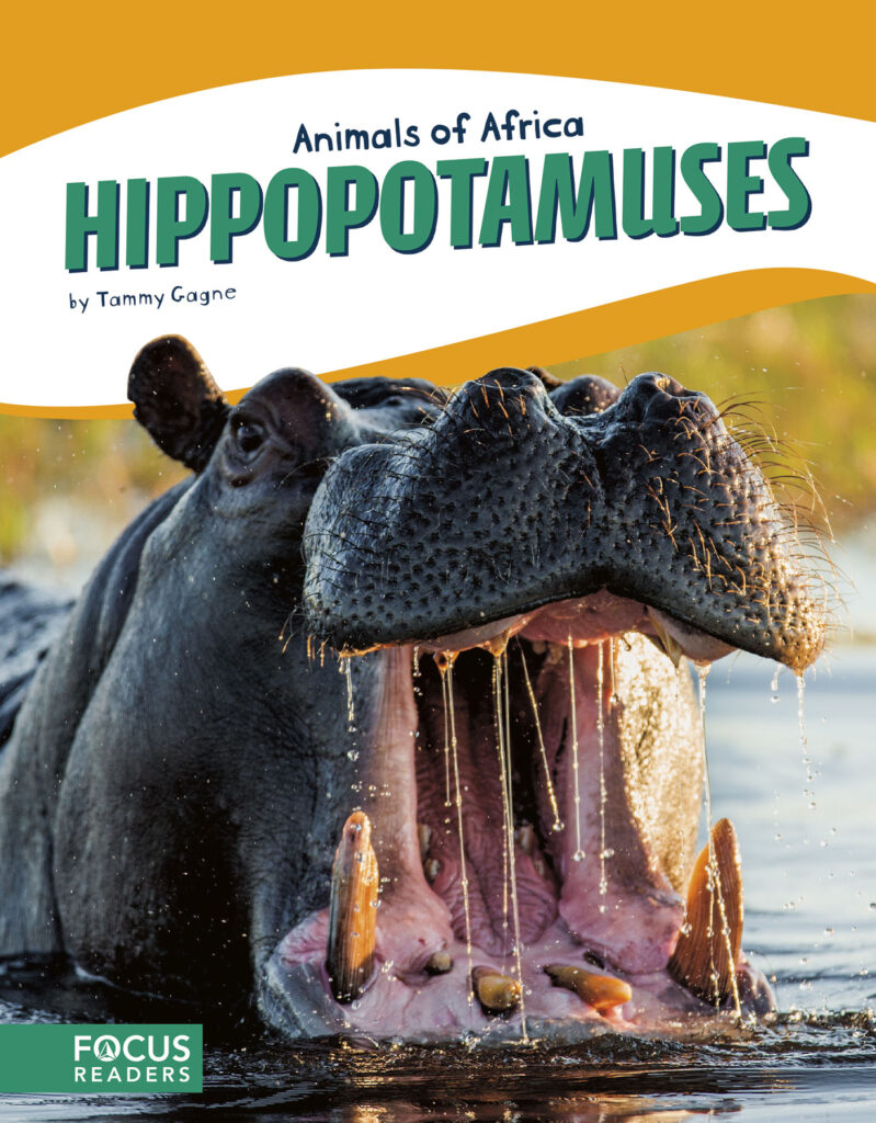 Introduces readers to the life, diet, habitat, behavior, and physical description of hippopotamuses. Colorful spreads, fun facts, diagrams, a range map, and a special reading feature make this an exciting read for animal lovers and report writers alike. Preview this book.