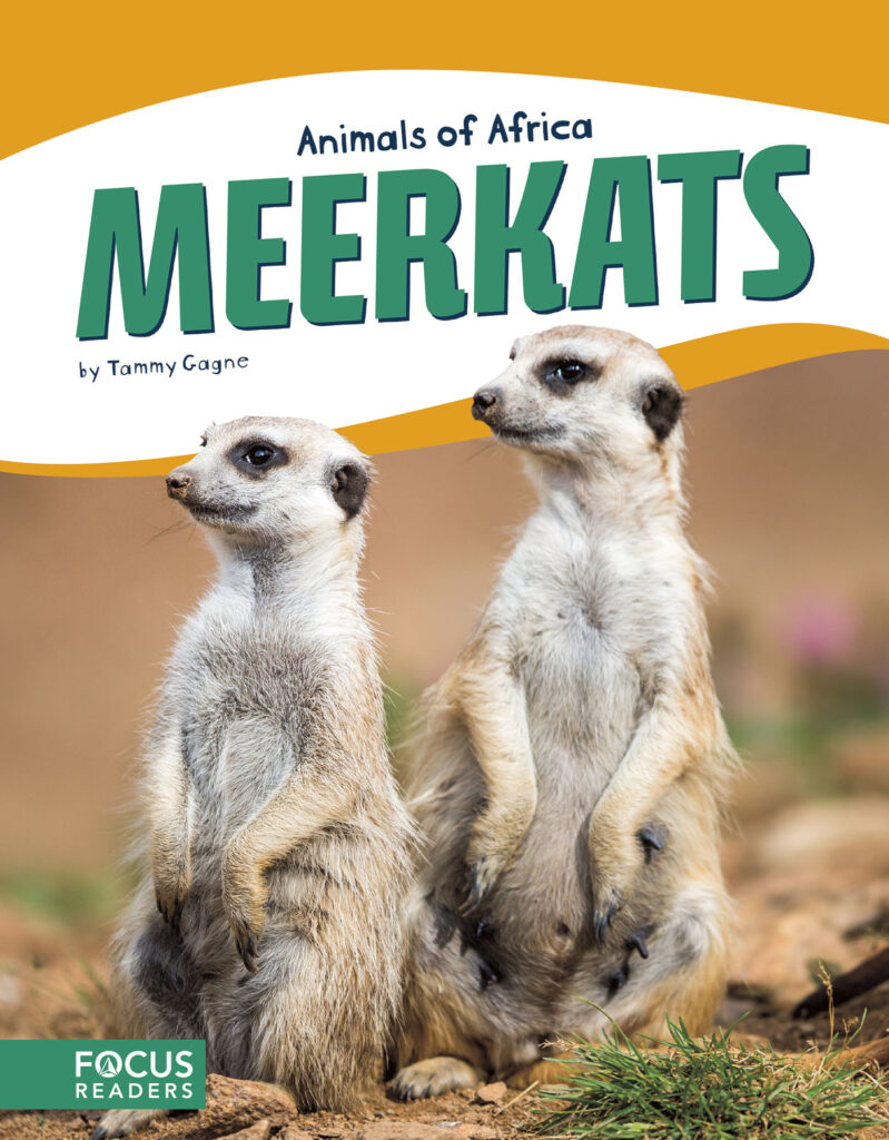Introduces readers to the life, diet, habitat, behavior, and physical description of meerkats. Colorful spreads, fun facts, diagrams, a range map, and a special reading feature make this an exciting read for animal lovers and report writers alike. Preview this book.