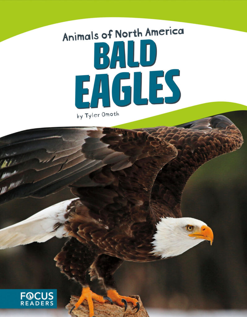 Introduces readers to the life, diet, habitat, behavior, and physical description of bald eagles. Colorful spreads, fun facts, diagrams, a range map, and a special reading feature make this an exciting read for animal lovers and report writers alike. Preview this book.