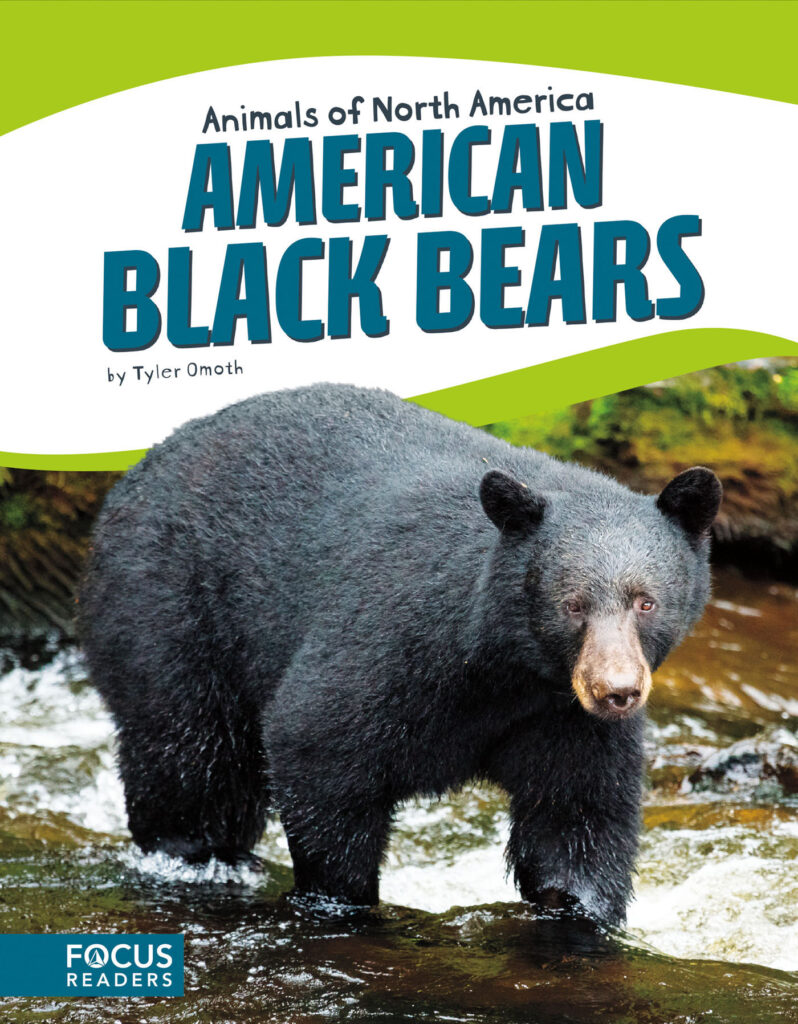 Introduces readers to the life, diet, habitat, behavior, and physical description of American black bears. Colorful spreads, fun facts, diagrams, a range map, and a special reading feature make this an exciting read for animal lovers and report writers alike. Preview this book.