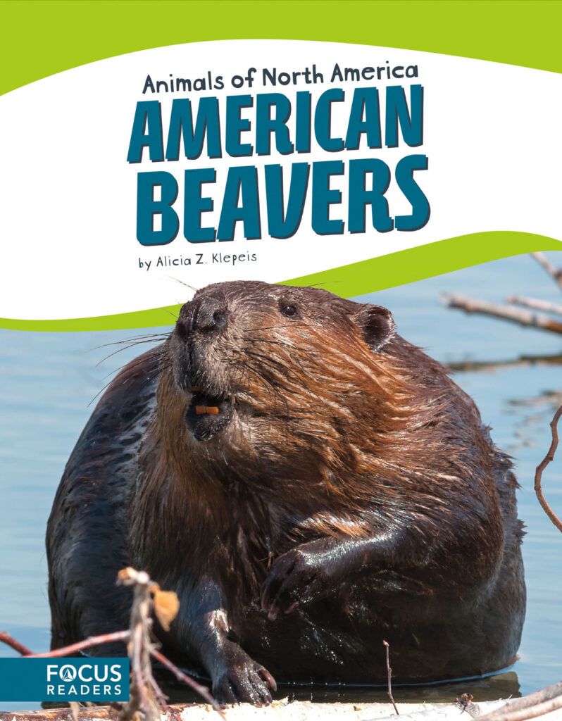 Introduces readers to the life, diet, habitat, behavior, and physical description of American beavers. Colorful spreads, fun facts, diagrams, a range map, and a special reading feature make this an exciting read for animal lovers and report writers alike. Preview this book.