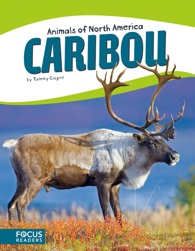 Introduces readers to the life, diet, habitat, behavior, and physical description of caribou. Colorful spreads, fun facts, diagrams, a range map, and a special reading feature make this an exciting read for animal lovers and report writers alike. Preview this book.