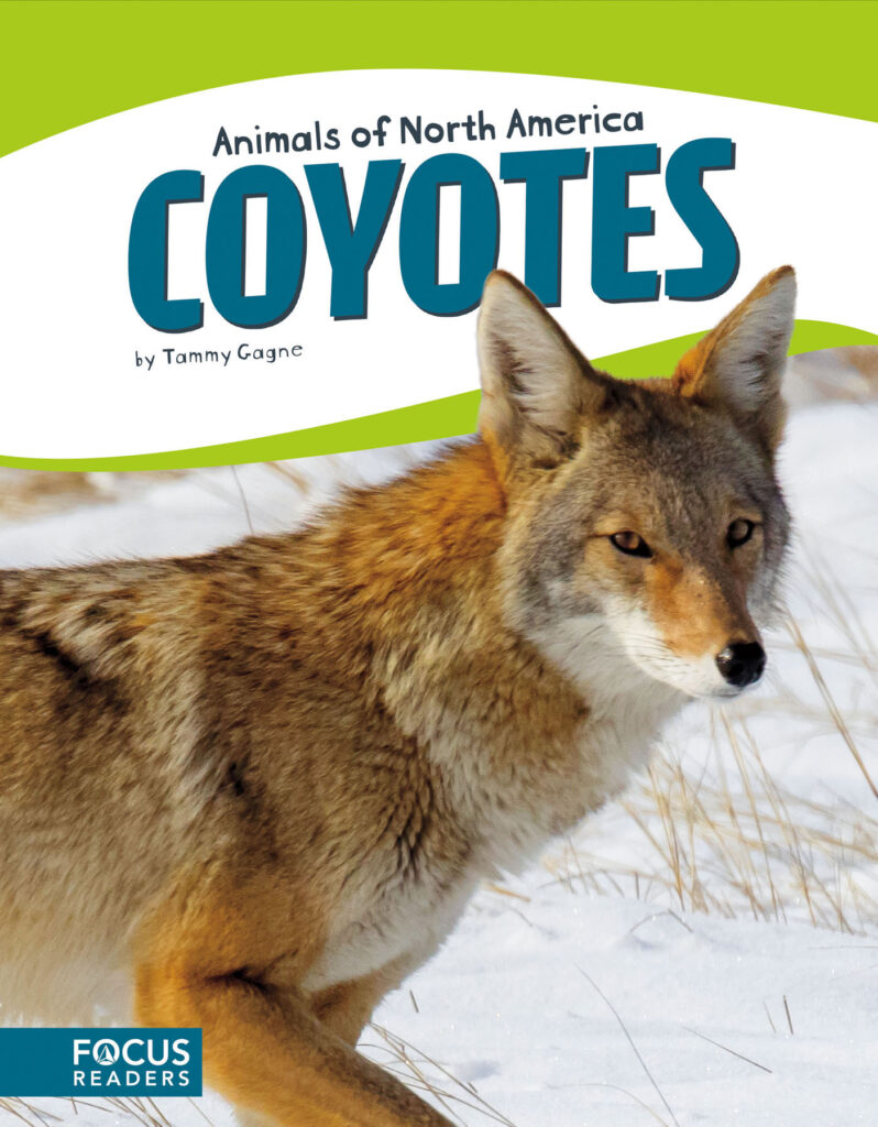 Introduces readers to the life, diet, habitat, behavior, and physical description of coyotes. Colorful spreads, fun facts, diagrams, a range map, and a special reading feature make this an exciting read for animal lovers and report writers alike. Preview this book.