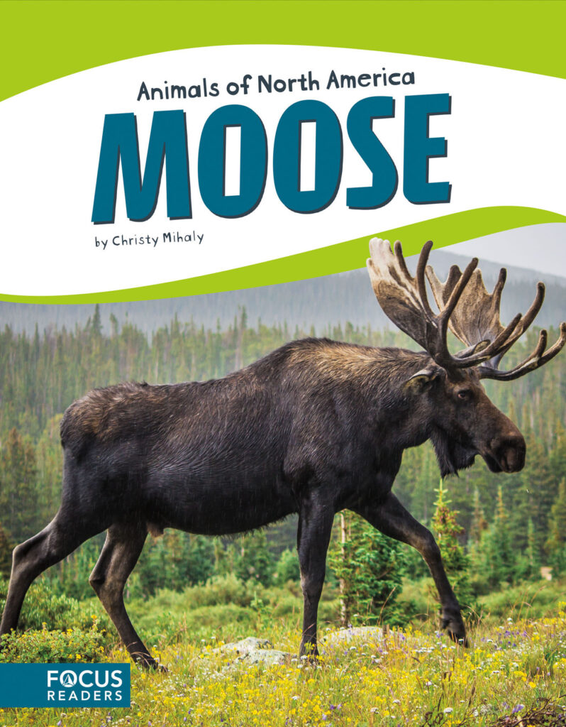 Introduces readers to the life, diet, habitat, behavior, and physical description of moose. Colorful spreads, fun facts, diagrams, a range map, and a special reading feature make this an exciting read for animal lovers and report writers alike. Preview this book.