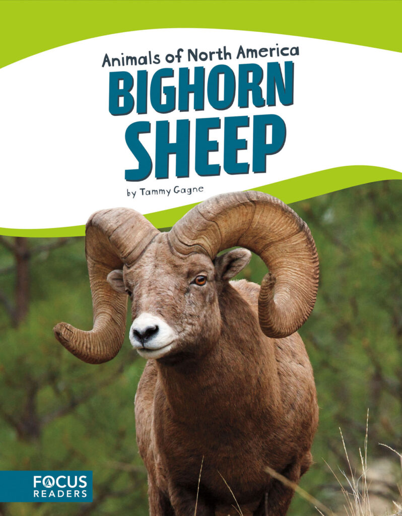 Introduces readers to the life, diet, habitat, behavior, and physical description of bighorn sheep. Colorful spreads, fun facts, diagrams, a range map, and a special reading feature make this an exciting read for animal lovers and report writers alike.