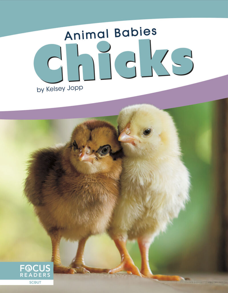 This title introduces readers to the first days, early changes, and growth of chicks. Simple text, straightforward photos, and a photo glossary make this title the perfect primer on baby chickens. Preview this book.