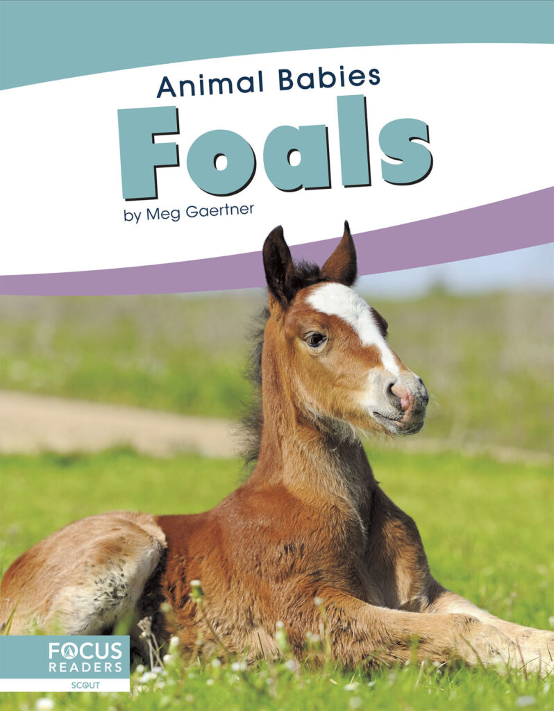 This title introduces readers to the first days, early changes, and growth of foals. Simple text, straightforward photos, and a photo glossary make this title the perfect primer on baby horses.