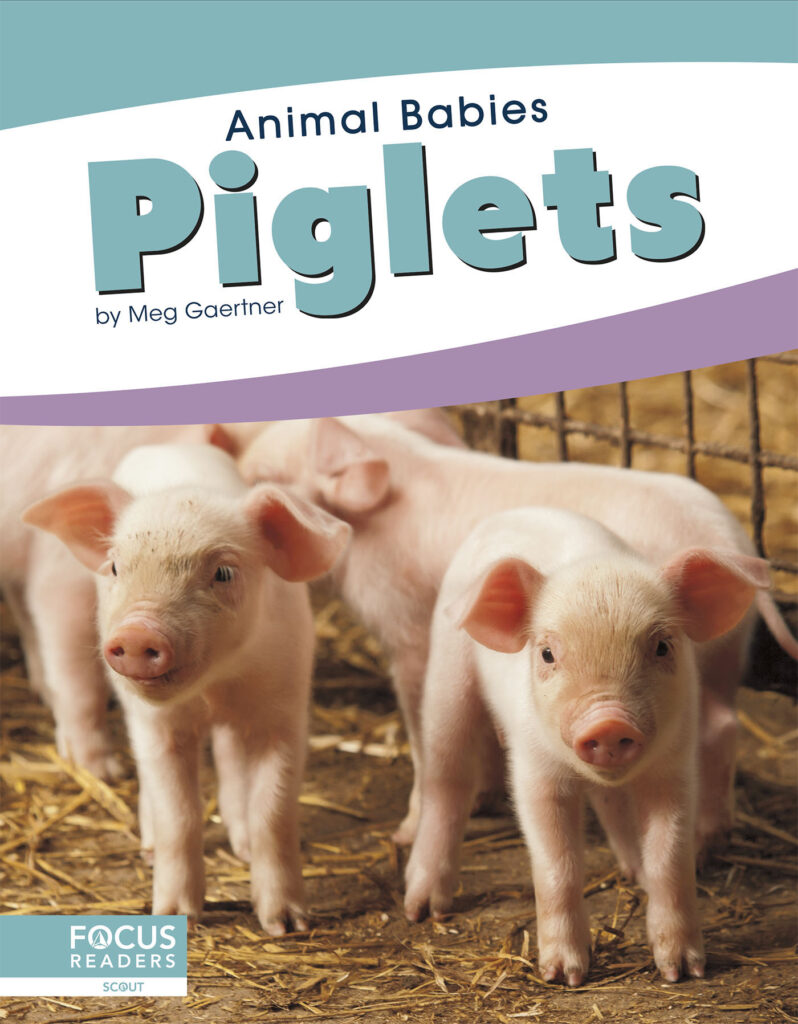 This title introduces readers to the first days, early changes, and growth of piglets. Simple text, straightforward photos, and a photo glossary make this title the perfect primer on baby pigs.
