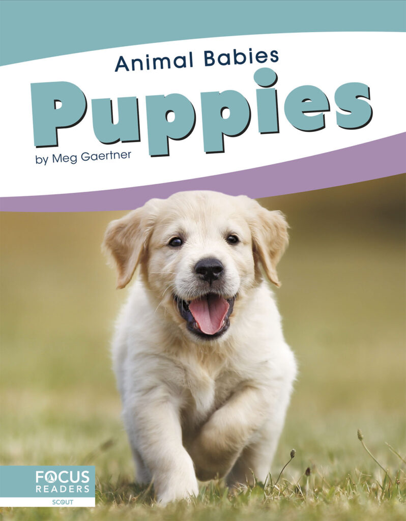 This title introduces readers to the first days, early changes, and growth of puppies. Simple text, straightforward photos, and a photo glossary make this title the perfect primer on baby dogs. Preview this book.