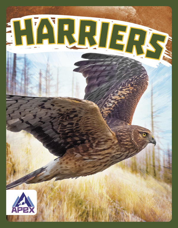 This book gives fascinating facts about harriers and their lives in the wild. Short paragraphs of easy-to-read text are paired with plenty of colorful photos to make reading engaging and accessible. The book also includes a table of contents, fun facts, sidebars, comprehension questions, a glossary, an index, and a list of resources for further reading. Apex books have low reading levels (grades 2-3) but are designed for older students, with interest levels of grades 3-7. Preview this book.